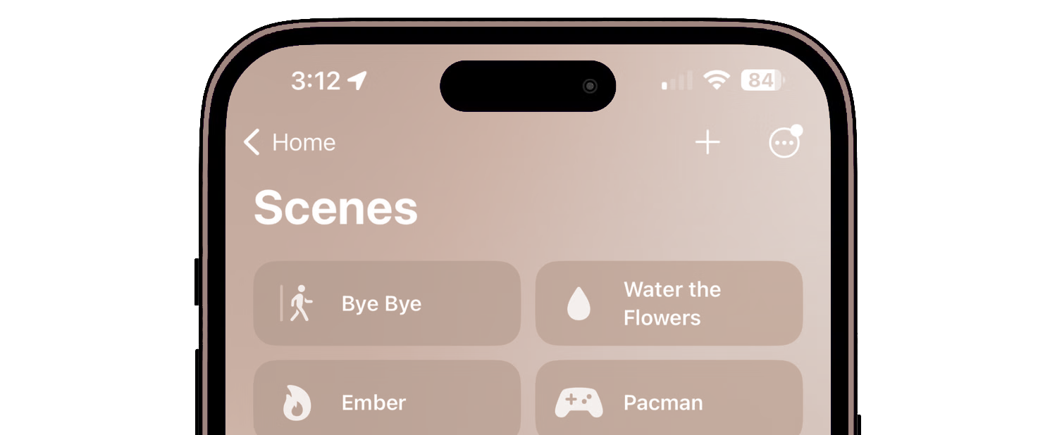 Voice & Visualization